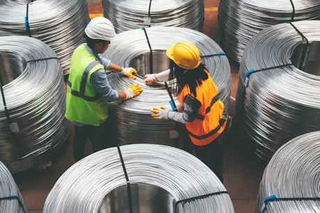 Case study: Tenova people management with SAP SuccessFactors