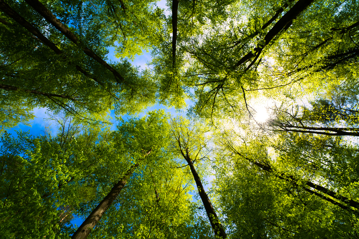Case study: Egger Group uses SAP HCM and Payroll system to support a growing workforce